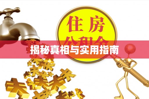 泊头揭秘真相与实用指南